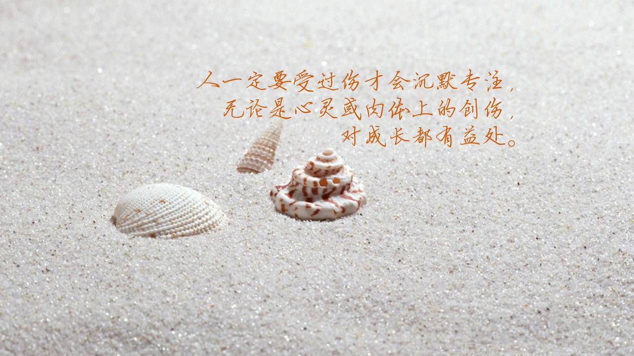 网红商城